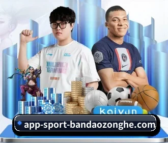 半岛综合 APP